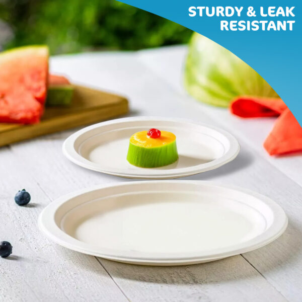 Small to Large Size Premium Quality Disposable Strong Bagasse Plates Biodegradable & Compostable (50 Pack) - Image 8